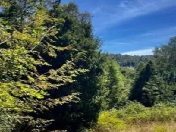 Campo con vista al Lago Caburgua – 18 ha – ac