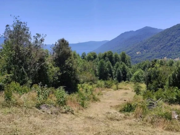 Campo con vista al Lago Caburgua – 18 ha – ac