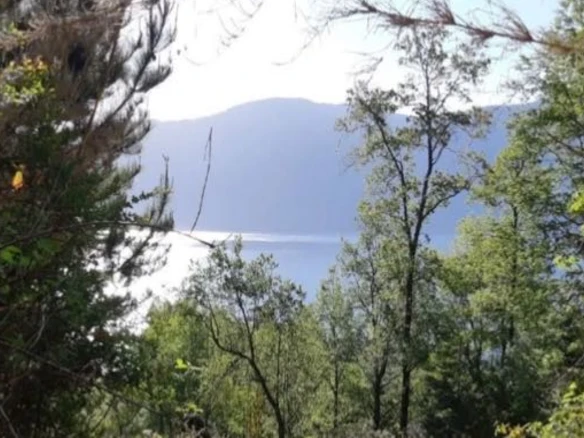 Campo con vista al Lago Caburgua – 18 ha – ac