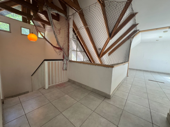 Propiedad Comercial + Casa, Locales y Bodega